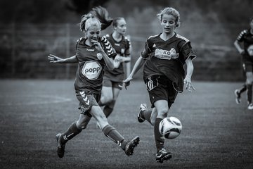 Bild 3563 - B-Juniorinnen FSC Kaltenkirchen - TSV Sch�nberg : Ergebnis: 1:1